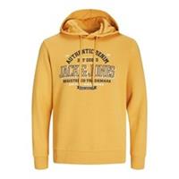 Jack & Jones Mens Sweat Hood Oth Hoodie Hooded Sweatshirt Top - M Regular