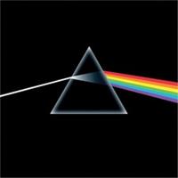 Pink Floyd Unisex F 40x40 Print Wall Art