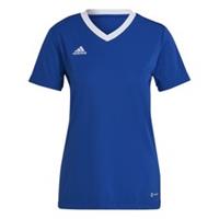 adidas Womens Jersey W T-shirt Short Sleeve Sports Training Fitness Gym - 10 Regular