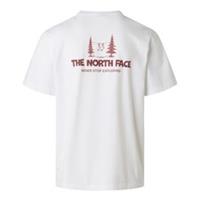 THE NORTH FACE Mens Camping T-shirt Regular Fit - L Regular