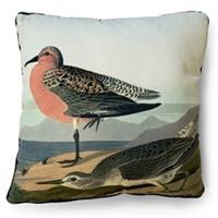 The Art Group John James Cushion
