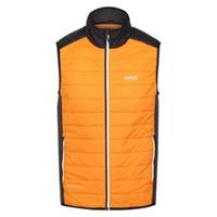 Regatta Mens Haltonbwvii Gilet Sleeveless Jacket Outerwear Top Heavyweight - M Regular