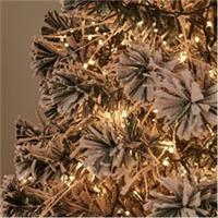 The Spirit Of Christmas Unisex 2000 Bulb Warm White String Lights With Timer