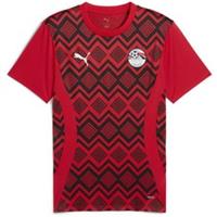 Puma Mens Prematch Ss Jersey Football Shirt International - S Regular