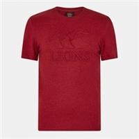 Canterbury Mens And Irish Lions Monument T-shirt 2025 Adults Short Sleeve Shirt - S Regular