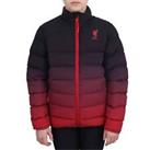Team Kids Lfc Padded Jacket Outerwear J Licensed Managers - 5-6 Yrs Regular