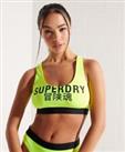 Superdry Womens Logo Crop Bikini Top - 8 Regular