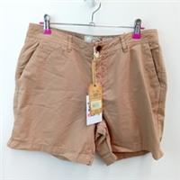 Fatface Shorts Size 12 Womens Brown Cotton BNWT FPL -WRDC
