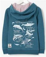 Fat Face Boys Shark Tooth Glow In The Dark Zip Hoodie In Various Sizes *BNWT*