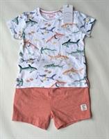 Fatface Baby Boys Shark T-shirt & Shorts Set Age 12-18 Months *BNWT*