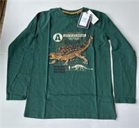 Fatface Boys Glow In The Dark Ankylosaurus Graphic T-shirt Age 5-6 Years *BNWT