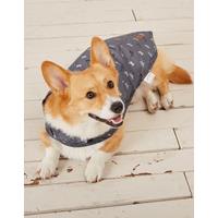 50cm Marching Dogs Raincoat