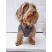 Small Marching Dog Harness