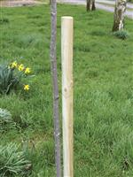 Round Tree Stake 1.22m