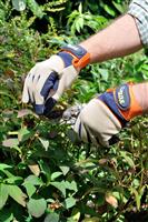 General Purpose Gardening Gloves (Mens Medium)
