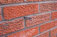 Hammer-in Vine Eyes