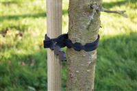 Tree Tie 30cm