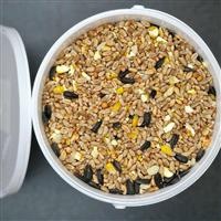 Classic Wild Bird Feed Mix - 2.5 litre tub