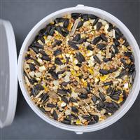 Aniseed Attraction Blend - Special Seed & Nut Food Selection for Wild Garden Birds - 2.5 litre Tub