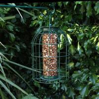 Nut Feeder with Squirrel Guard