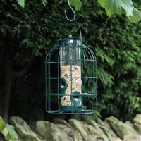 Seed Feeder with Squirrel Guard