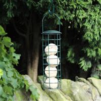 Green Standard Suet Fat Ball Bird Feeder