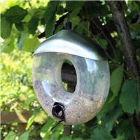Deluxe Donut Bird Seed Feeder