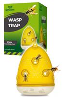 Organ-X Wasp Trap
