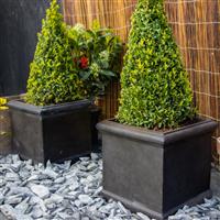 Grosvenor Faux Lead Grey Cube Planter - MEDIUM