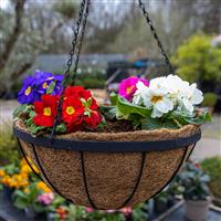 Metal Hanging Basket With Liner - Large (35cm)
