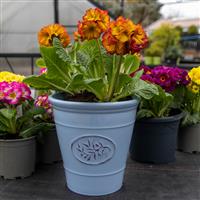 Blue Olive Planter - Medium (23cm)