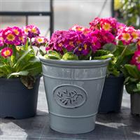 Grey Olive Planter - Medium (23cm)