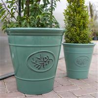 Green Olive Planter - Extra Large (40cm)