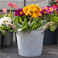Heart Zinc Pot with Hessian Ears - Medium (18cm)