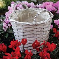 White Display Basket to fit a 25cm Diameter pot