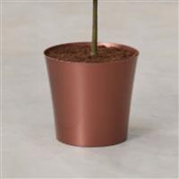 Copper Cover Pot - 20cm diameter
