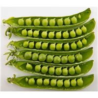 Peas Petite Pois