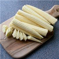 Baby Sweetcorn Minipop