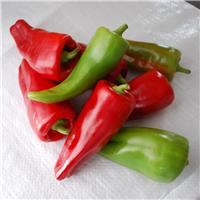 Sweet Pepper 'Cubanelle'