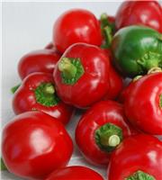 Sweet Pepper 'Sweet Red Cherry'