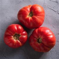 Tomato Plant 'Omar's Lebanese'