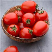 Tomato Plant 'Principe Borghese'