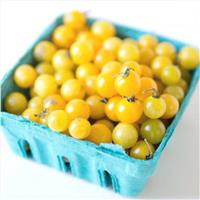 Tomato Plant 'Yellow Current'