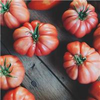 Tomato Plant 'Monte Rosa'