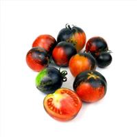 Tomato Plant 'Dark Galaxy'