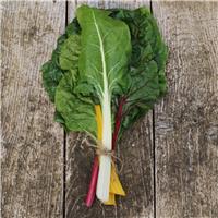 Swiss Chard - Bright Lights Rainbow Mix - Veg Plant