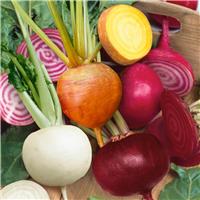 Beetroot Plant 'Mixed'