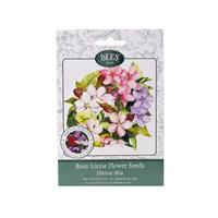 Divine Mix - Busy Lizzie Flower Seed Packet
