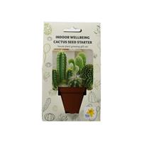 MC Sow For Wellbeing - House Plants Cactus