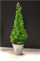 Top Point Mini Christmas Tree in 12cm Pot